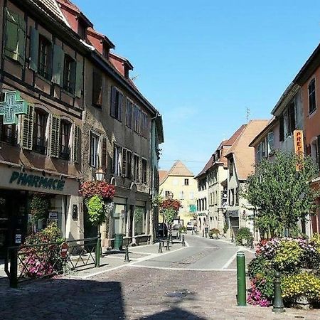 Studio L'Epicea Climatisation Sejour Parfait Soultz-Haut-Rhin Bagian luar foto