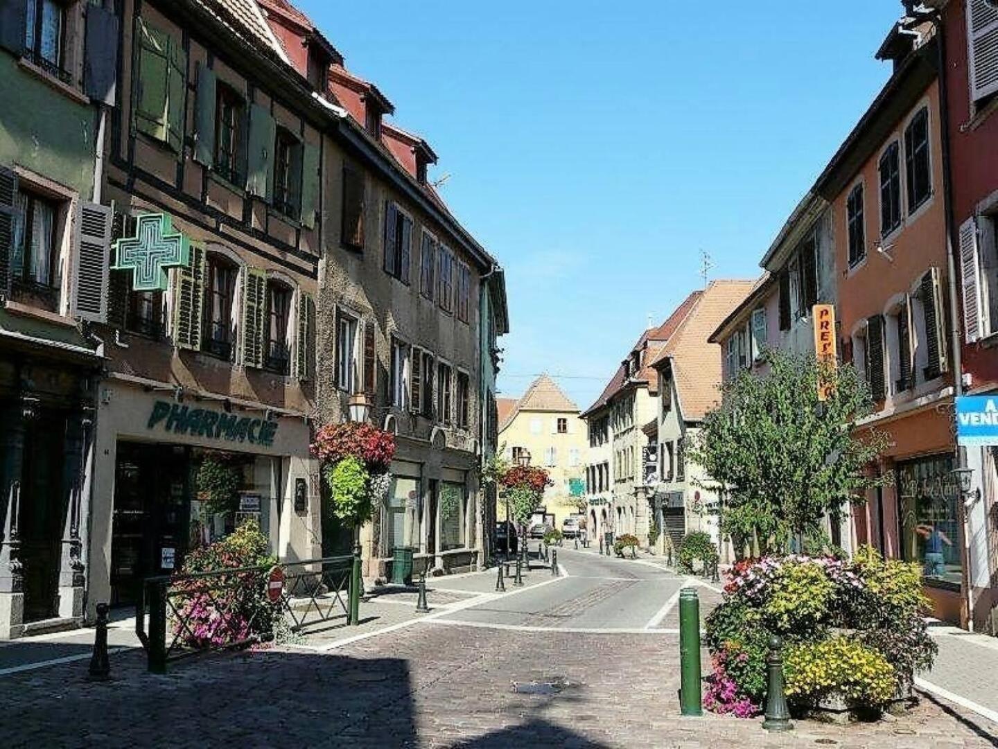 Studio L'Epicea Climatisation Sejour Parfait Soultz-Haut-Rhin Bagian luar foto
